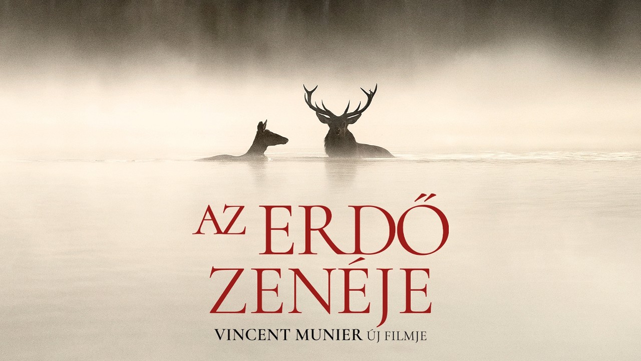 Video Cover