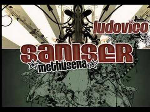 Şanışer - N.A.P.İ.M