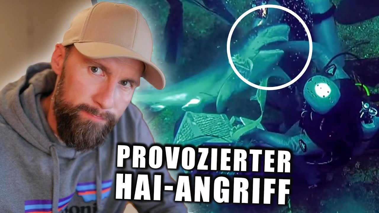 Provozierter HAI-ANGRIFF von Joko & Klaas | Meeresbiologe analysiert | Robert Marc Lehmann