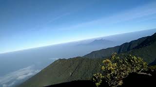 Download lagu Story Wa Pemandangan Puncak Gunung Gede || 2958 mdpl #gunung #gununggede #pangrango mp3