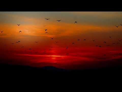 Nico Staf - Friendly Dance