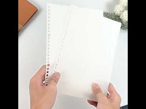 Loose Leaf Cover B5 Samoyed CNPP-51