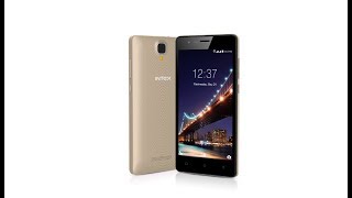 Intex Aqua Lions 2 Overview