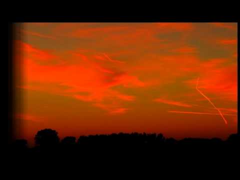 Wendell Davis - I Want To Be Those Leaves