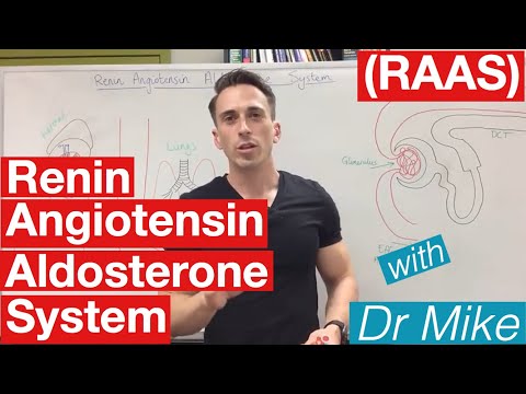 Renin-Angiotensin-Aldosteron-System