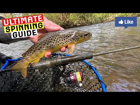 The ULTIMATE SPINNING GUIDE for WILD TROUT