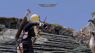 Skyrim Combat Mod: showing mod Engarde + EnaiRim against Silent Moon Camp