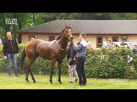 FANBLOCK-TV: 1. Renntag in Seidnitz