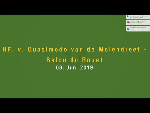 HF v. Quasimodo van de Molendreef - Balou du Rouet / geb. 03. Juni 2019