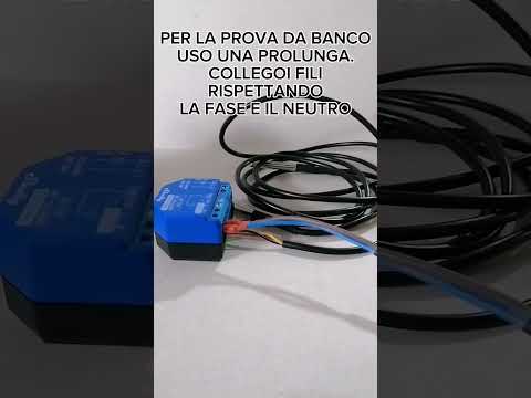 Shelly1 + AddOn + Sonda DS18B20