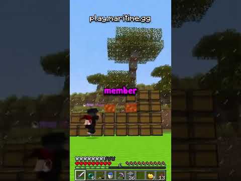 I Caught a Staff GRIEFING my Minecraft Server!