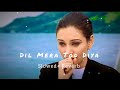 Dil Mera Tod Diya Kasoor Slowed Reverb Hindi Hit Sad Song
