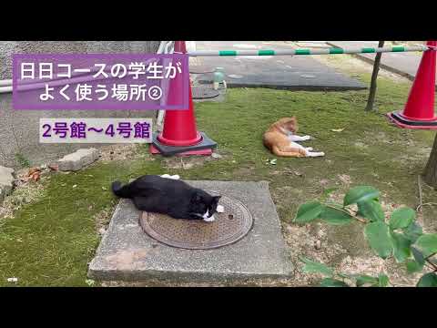 食生活健康学科 【活水女子大学】オンラインオープンキャンパス2022　国際文化学部 日本文化学科（日本語日本文化コース）2022