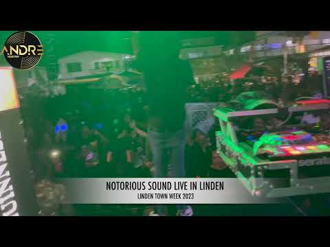 Dj Magnum x Rayvon Live Juggling in Linden | Town Week 2023 on the Bus Park