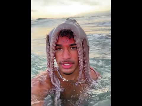 Frank is oceaning #shorts #short #Notej short