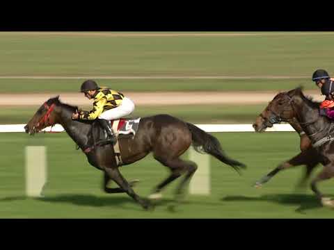 CH, 13. 5. 2018, 7. dostih - CENA ARNY