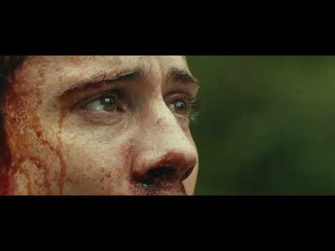 Kong vs Lula  gigante #brigasinsanas