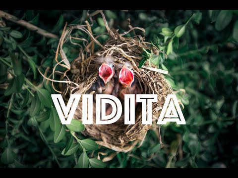 Vidita | feat Madhu Anziani | Live from Indian Canyon