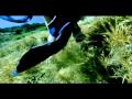 Paul Oakenfold-Southern Sun (Dj Tiesto Remix ...