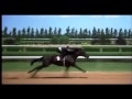 The Black Stallion Final Race