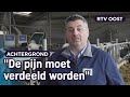 Deze boer knijpt ‘m flink voor kaalslag platteland Twente | RTV Oost