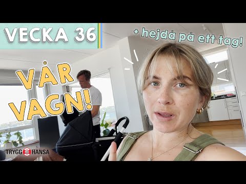 SISTA VIDEON INNAN FÖRLOSSNING!  - Henrietta Fromholtz vecka 36