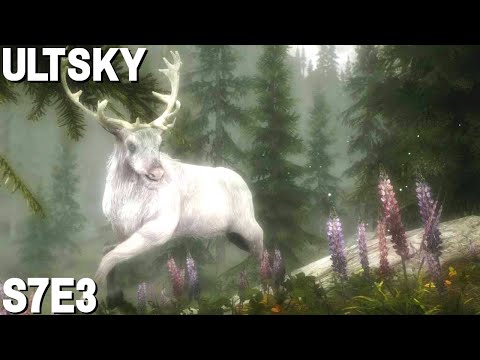Ultimate Skyrim [1 Life] S7E3 - Hunter or Hunted