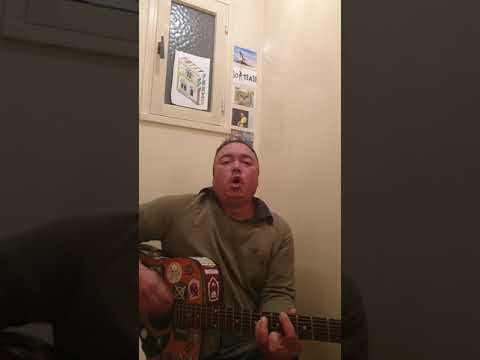 Les Entrechats - Guitare cover - JC Lover One