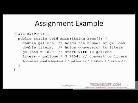 Java Beginner 4 Variables Data Types Assignment
