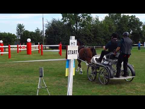 Fahrturnier Ostenfelde 15.8.2021