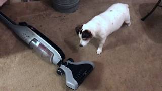 MY ENEMY TOKE MY TREAT!!!