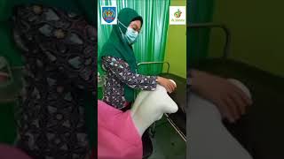 Download lagu Video Edukasi Teknik Pijat Laktasi mp3