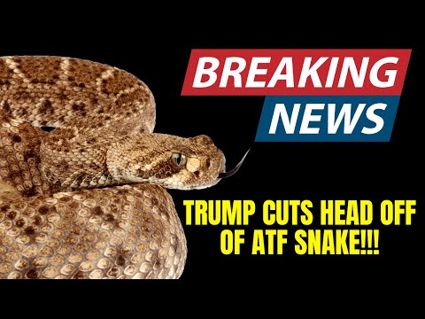Guns & Gaddgets - BIG ATF CHanges