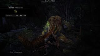 【MHW:I】ナルガクルガと遊んできた。