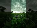 Whatsapp Status Love Songs Tamil Songs Shorts Video Viral Song Alone Sad Songs Nature