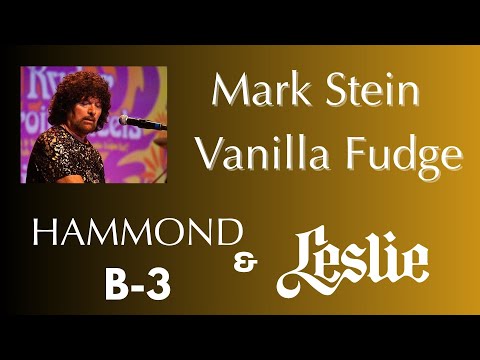 Mark Stein/Vanilla Fudge B-3 and Leslie 122 image 12