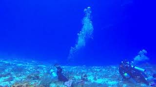 Cozumel 2023, Day 3, Dive 2, Part 2