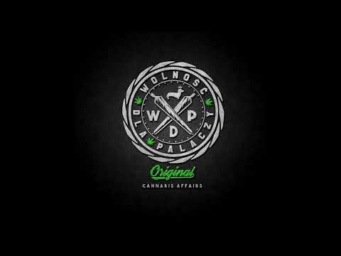 Gizmo WDP & Boczek Cas - ja Ty i ja ,muzyka to zabawa