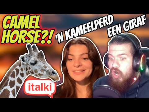 I took classes on italki to learn memes in a random language