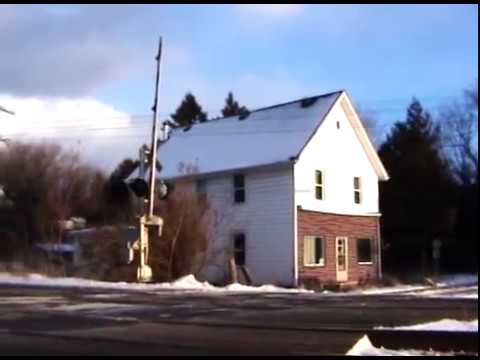 Backwoodsman (Adam Young Scores Short Film Contest)