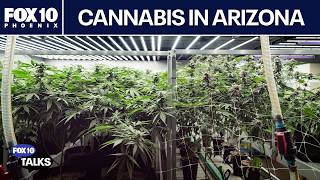Arizona cannabis exec talks state of the industry | FOX 10 Talks | FOX 10 Phoeni