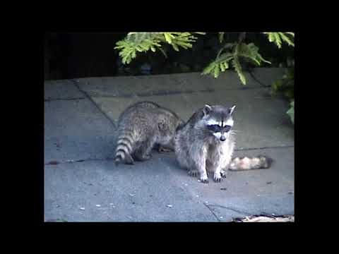 Video Mike had taken - his Birthday would have been today ♥