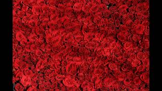 🎶🎶Amaia Montero Te Voy A Decir Una Cosa