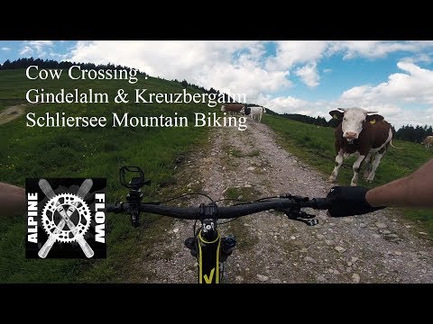 Gendelalm Kreuzbergalm Schliersee Mountain Bike Tour