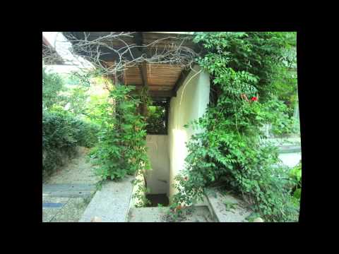 Architekten-Bungalow mit 200m2 Wohnfläche, 7 Zimmer, 1.236m2 Parkgrundstück in Fischbachtal