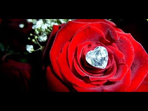 Disa këshilla bashkëshortore për një jetë të lumtur - Dr. Imam Ahmed Kalaja