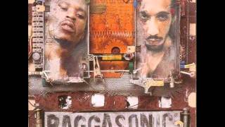 Raggasonic - En Quelques Mots