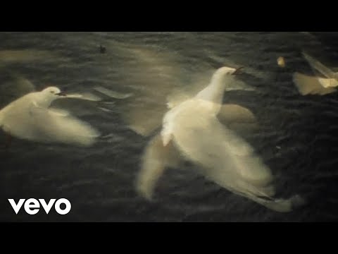 Sea Power - Folly (Official Video)