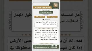 4871 -  حكم الأكل مما يسقط من ثمر النخيل - نور على الدرب image