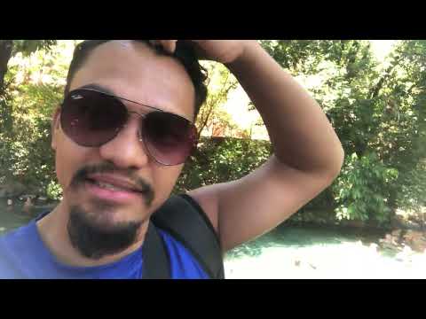 Foco em Curiosidade/Impacto)O Menor Rio da América Latina! 😱 | Rio Azuis Aurora do Tocantins (Ep. 2)